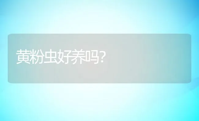 马骡吃麸皮易得结石 | 动物养殖学堂