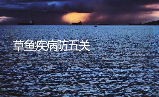 草鱼疾病防五关 | 海水养殖技术