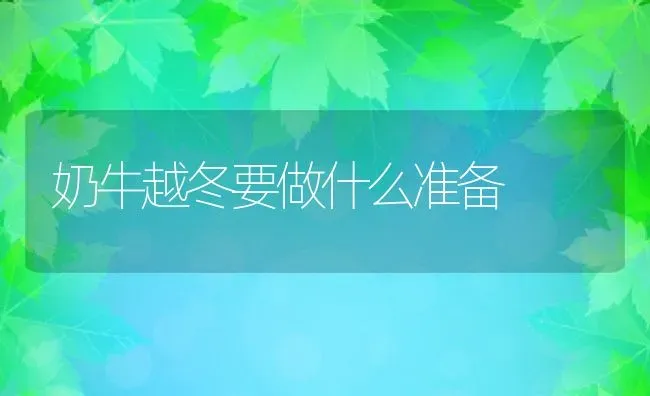 奶牛越冬要做什么准备 | 动物养殖百科