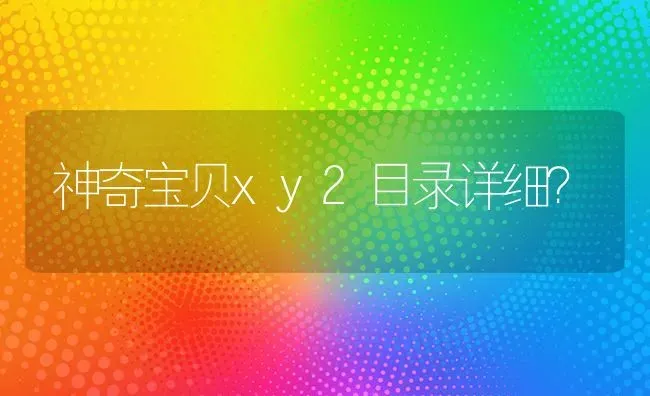 神奇宝贝xy2目录详细？ | 动物养殖问答