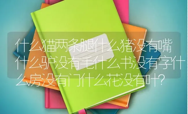 什么猫两条腿什么猪没有嘴什么驴没有毛什么书没有字什么房没有门什么花没有叶？ | 动物养殖问答