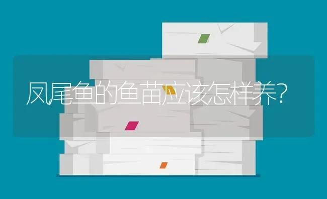 凤尾鱼的鱼苗应该怎样养？ | 鱼类宠物饲养