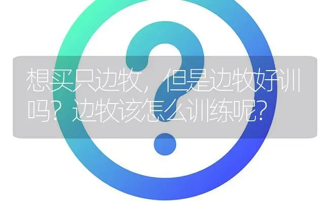 柯基身子长是不是不纯？ | 动物养殖问答