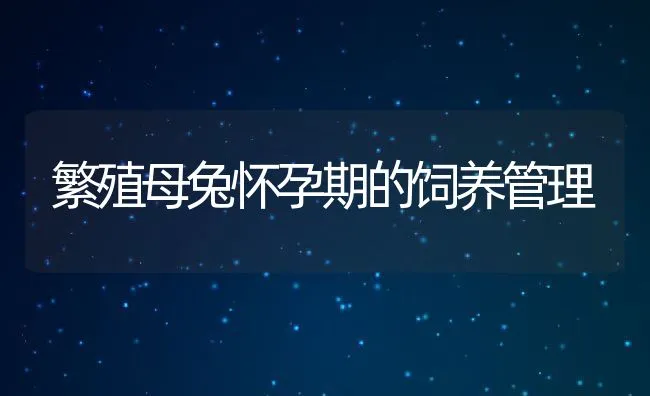 繁殖母兔怀孕期的饲养管理 | 动物养殖学堂