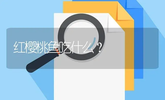 红樱桃鱼吃什么？ | 鱼类宠物饲养