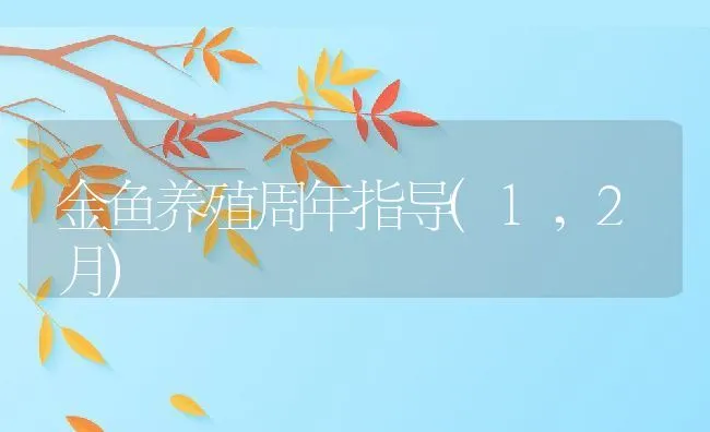 金鱼养殖周年指导(1,2月) | 动物养殖饲料