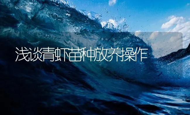 浅谈青虾苗种放养操作 | 海水养殖技术