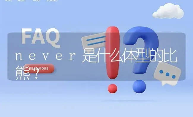 never是什么体型的比熊？ | 动物养殖问答