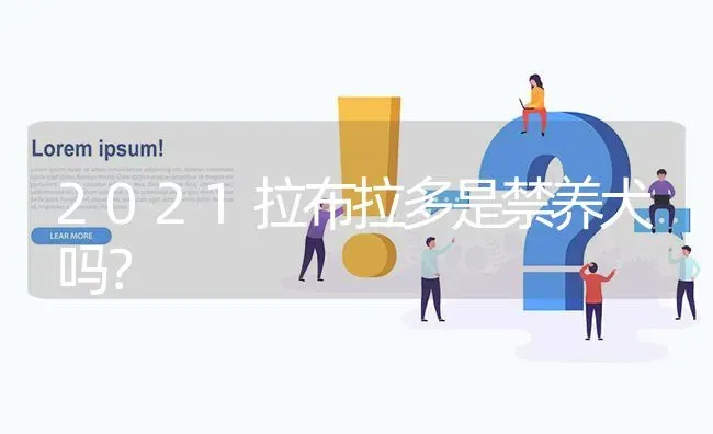 2021拉布拉多是禁养犬吗？ | 动物养殖问答