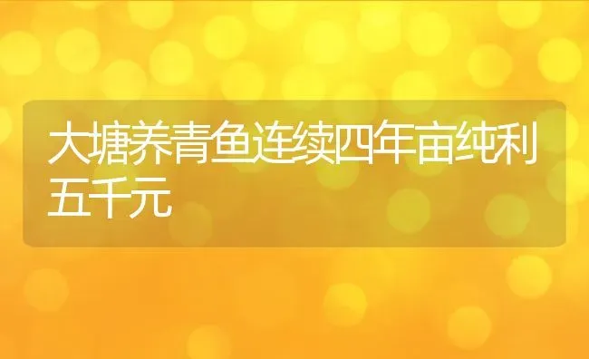 大塘养青鱼连续四年亩纯利五千元 | 动物养殖教程