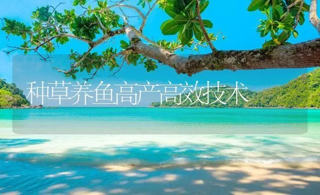 种草养鱼高产高效技术 | 海水养殖技术