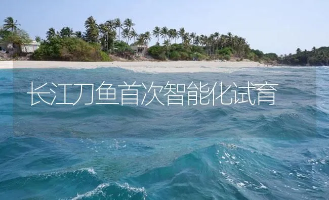 罗非鱼产卵池的准备要点 | 海水养殖技术