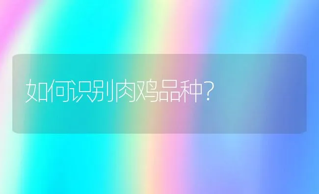 病猪的喂药技术方法 | 动物养殖学堂