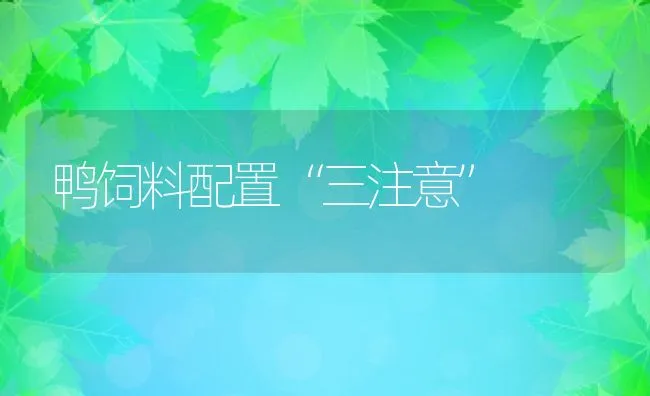 猪的夏季热应激及控制 | 动物养殖学堂