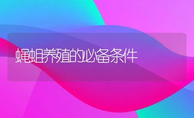 蝇蛆养殖的必备条件 | 动物养殖教程