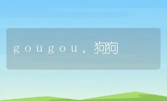 gougou,狗狗 | 宠物百科知识