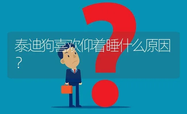 泰迪狗喜欢仰着睡什么原因？ | 动物养殖问答