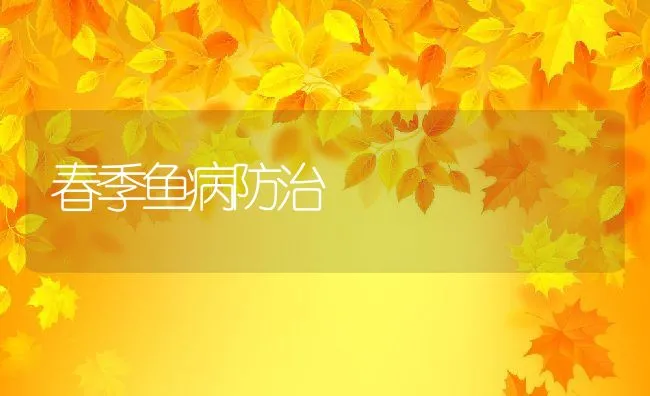 春季鱼病防治 | 水产养殖知识