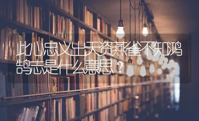 公狗取什么名字好听？ | 动物养殖问答