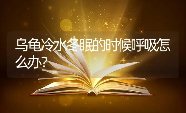 乌龟冷水冬眠的时候呼吸怎么办？ | 动物养殖问答