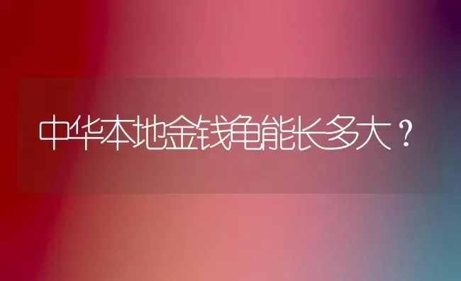 中华本地金钱龟能长多大？ | 动物养殖问答