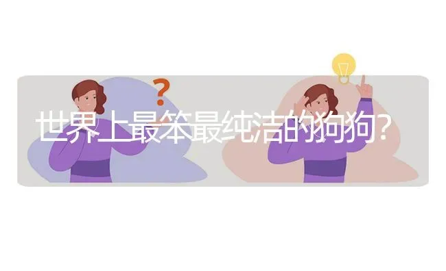 高加索四个月大的时候应该是什么标准?身高体重等等？ | 动物养殖问答