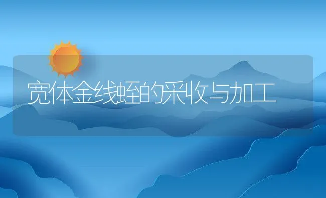 宽体金线蛭的采收与加工 | 动物养殖学堂