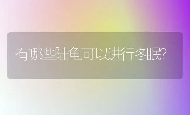 有哪些陆龟可以进行冬眠？ | 动物养殖问答