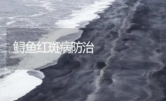 鲟鱼红斑病防治 | 海水养殖技术