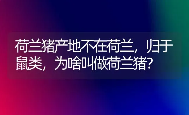 阿富汗猎犬配对是几月份？ | 动物养殖问答