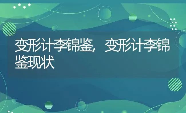 变形计李锦鉴,变形计李锦鉴现状 | 宠物百科知识