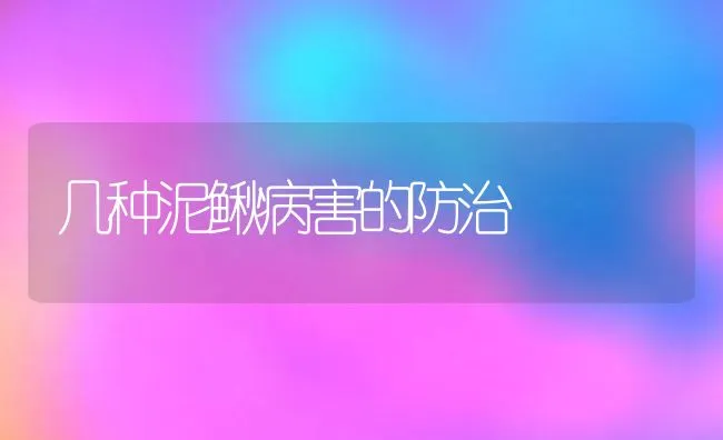 几种泥鳅病害的防治 | 水产养殖知识