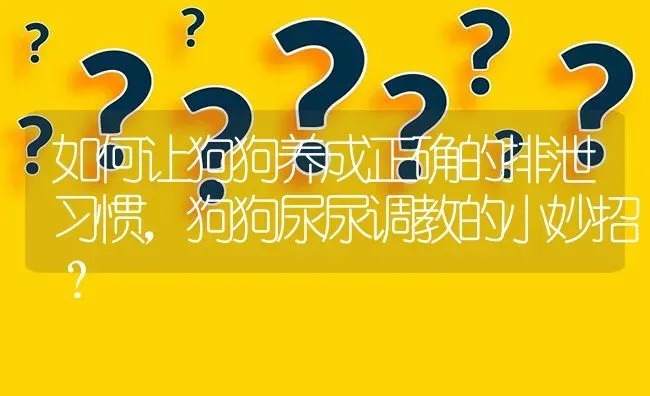 如何让狗狗养成正确的排泄习惯，狗狗尿尿调教的小妙招？ | 动物养殖问答