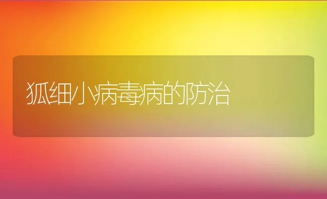 狐细小病毒病的防治 | 水产养殖知识