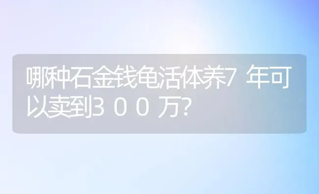 哪种石金钱龟活体养7年可以卖到300万？ | 动物养殖问答