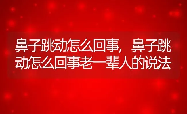 鼻子跳动怎么回事,鼻子跳动怎么回事老一辈人的说法 | 宠物百科知识