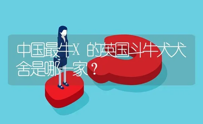 中国最牛X的英国斗牛犬犬舍是哪一家？ | 动物养殖问答