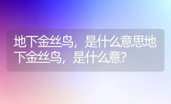 地下金丝鸟，是什么意思地下金丝鸟，是什么意？ | 动物养殖问答