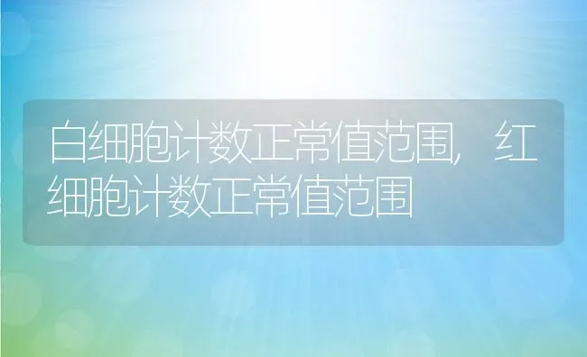 白细胞计数正常值范围,红细胞计数正常值范围 | 宠物百科知识