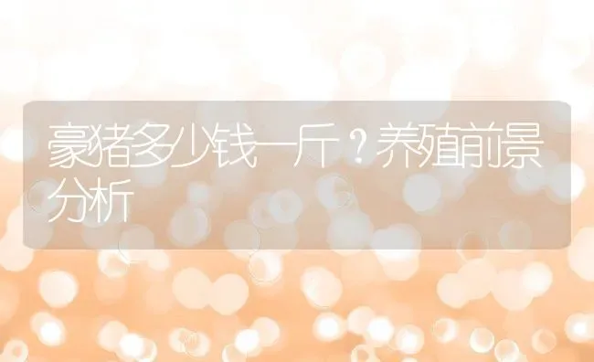 雨天钓黄鳝 | 动物养殖百科