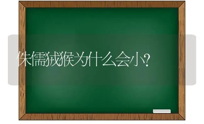 侏儒狨猴为什么会小？ | 动物养殖问答