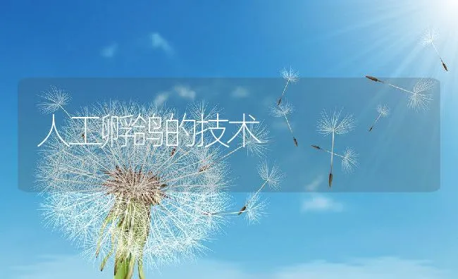 正确使用水草营养剂 | 海水养殖技术