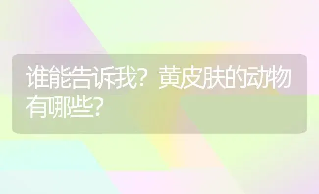 谁能告诉我？黄皮肤的动物有哪些？ | 动物养殖问答