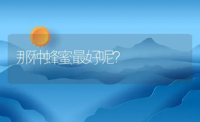 那种蜂蜜最好呢？ | 动物养殖百科