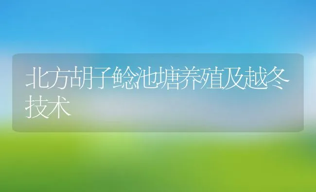 北方胡子鲶池塘养殖及越冬技术 | 动物养殖饲料