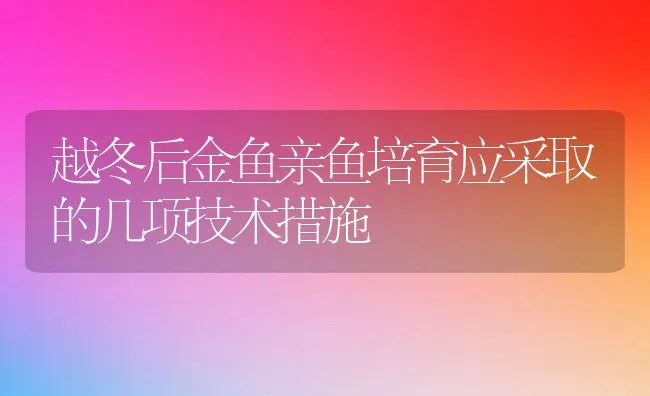 越冬后金鱼亲鱼培育应采取的几项技术措施 | 动物养殖饲料