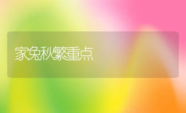 家兔秋繁重点 | 水产养殖知识