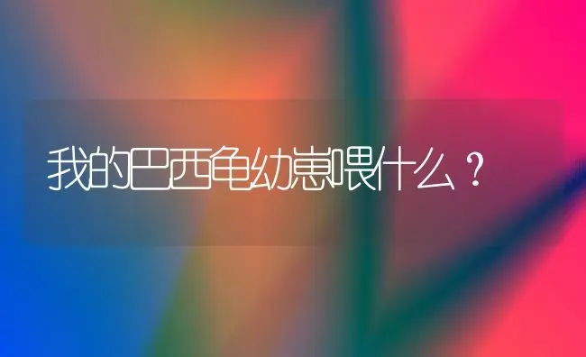 为啥有的金毛腿短有的长？ | 动物养殖问答