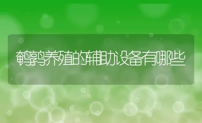 鹌鹑养殖的辅助设备有哪些 | 动物养殖教程