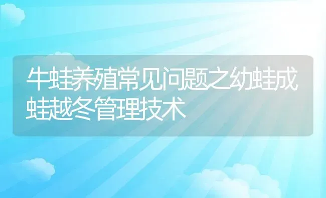 牛蛙养殖常见问题之幼蛙成蛙越冬管理技术 | 动物养殖教程